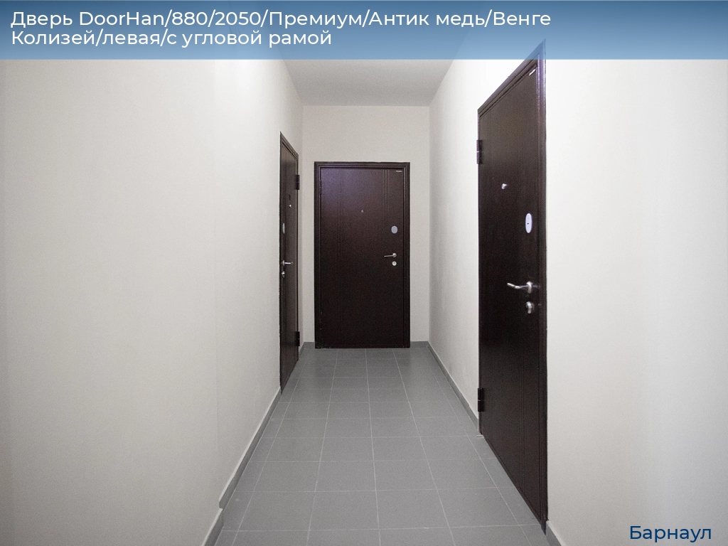 Дверь DoorHan/880/2050/Премиум/Антик медь/Венге Колизей/левая/с угловой рамой, barnaul.doorhan.ru