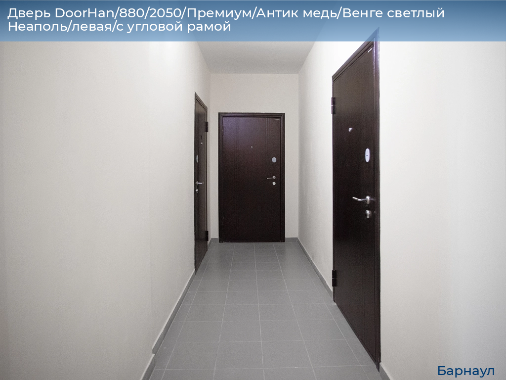 Дверь DoorHan/880/2050/Премиум/Антик медь/Венге светлый Неаполь/левая/с угловой рамой, barnaul.doorhan.ru