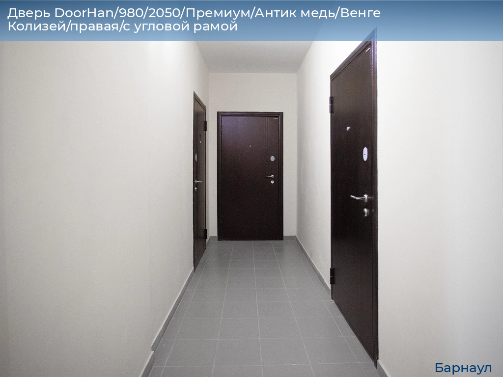 Дверь DoorHan/980/2050/Премиум/Антик медь/Венге Колизей/правая/с угловой рамой, barnaul.doorhan.ru
