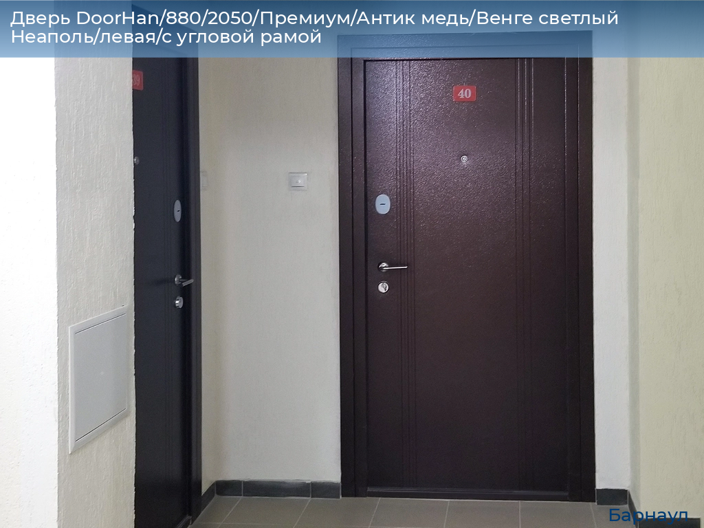 Дверь DoorHan/880/2050/Премиум/Антик медь/Венге светлый Неаполь/левая/с угловой рамой, barnaul.doorhan.ru