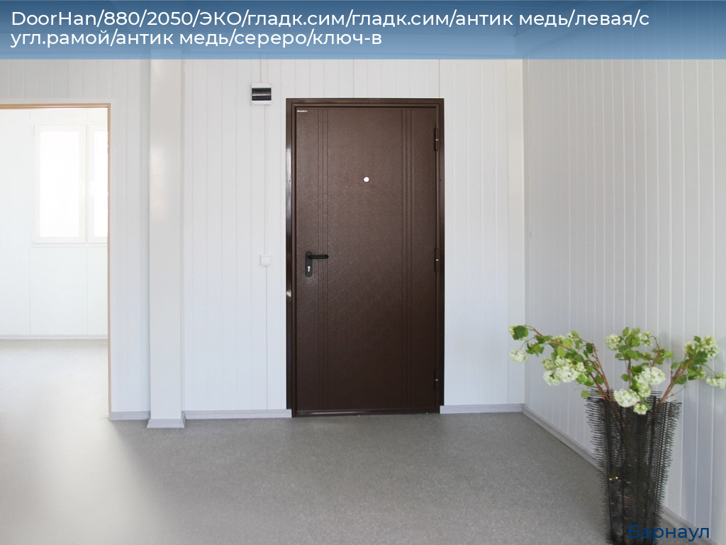 DoorHan/880/2050/ЭКО/гладк.сим/гладк.сим/антик медь/левая/с угл.рамой/антик медь/сереро/ключ-в, barnaul.doorhan.ru
